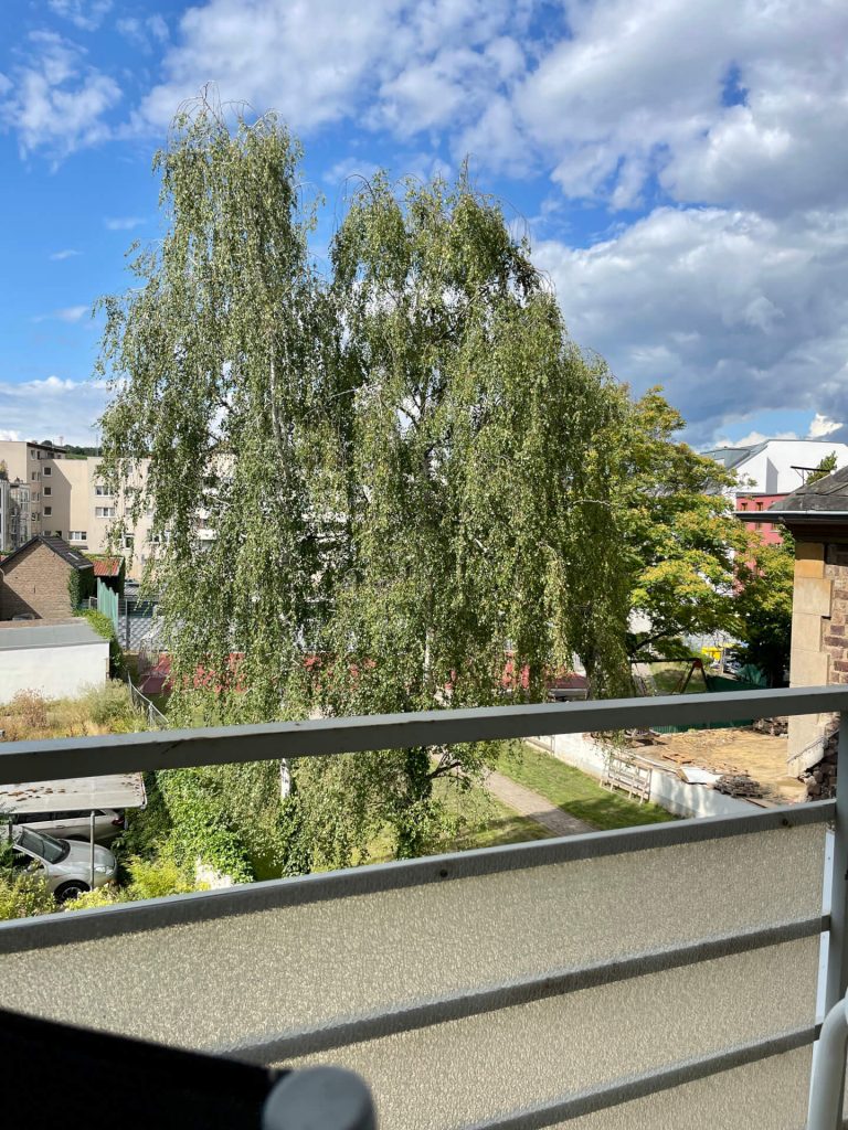 Der Ausblick vom Balkon mit Nachmittagssonne